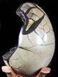 Septarian Dragon Egg Geode - Black Crystals #48003-2